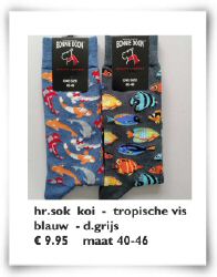 hw25 hr sok koi_tropvis.jpg
